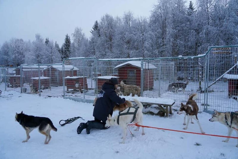 Nulkki Husky Adventure - Key Points  