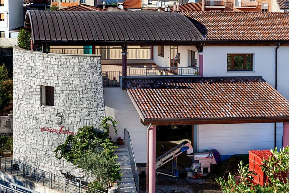 Nuoro: Vineyard Tour and Wine Tasting With Cheese and Charcuterie - Key Points