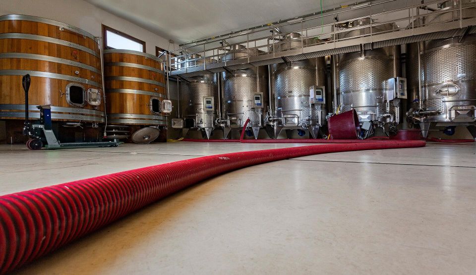 Nuoro: Vineyard Tour and Wine Tasting With Cheese and Charcuterie - Tasting of Fine Wines