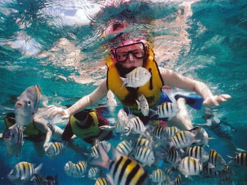 Nusa Dua: Tanjung Benoa Snorkeling Tour with Pickup Options - What to Expect from This Bali Snorkeling Tour
