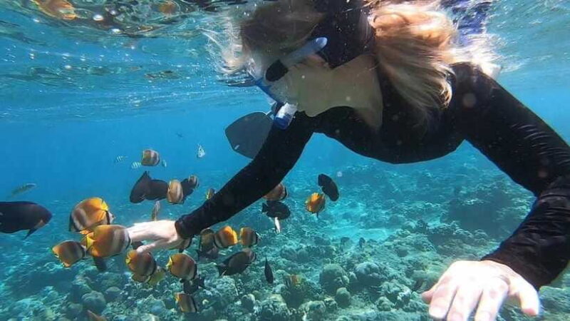 Nusa Dua: Tanjung Benoa Snorkeling Tour with Pickup Options - Who Will Enjoy This Tour?