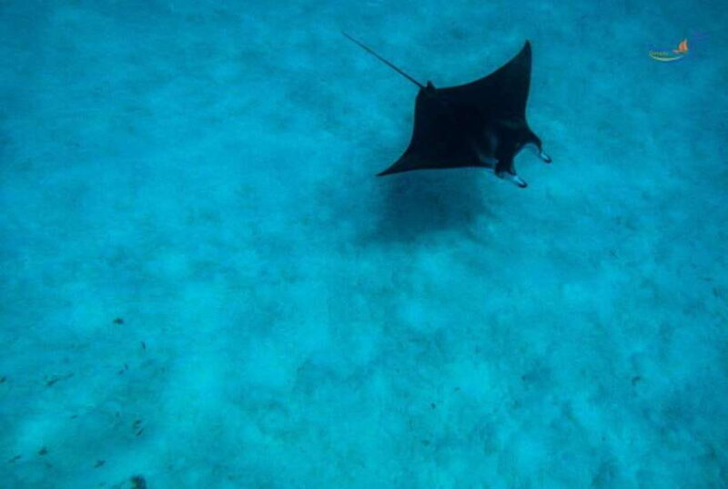 Nusa Lembongan and Nusa Penida: 2-Day Tour - Key Points