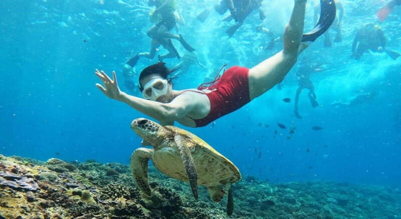 Nusa Lembongan from Bali: 3 Spots Snorkeling & Islands Tour - Key Points
