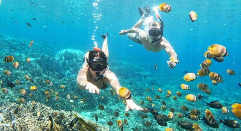 Nusa Lembongan from Bali: 3 Spots Snorkeling & Islands Tour - The Itinerary Breakdown: What to Expect from Dawn to Dusk