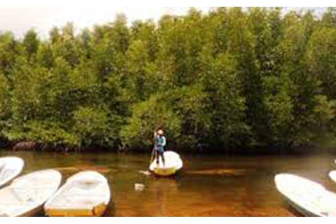 Nusa Lembongan Highlights Day Trip All-Inclusive - Tour Highlights