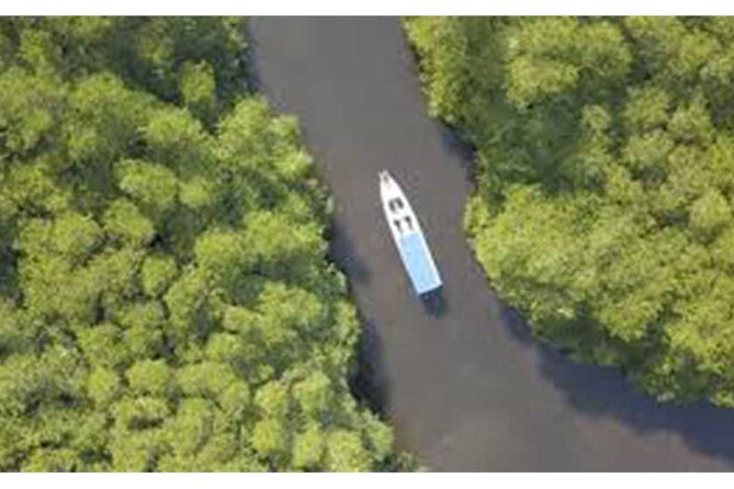 Nusa Lembongan Highlights Day Trip All-Inclusive - Pickup and Drop-off Locations