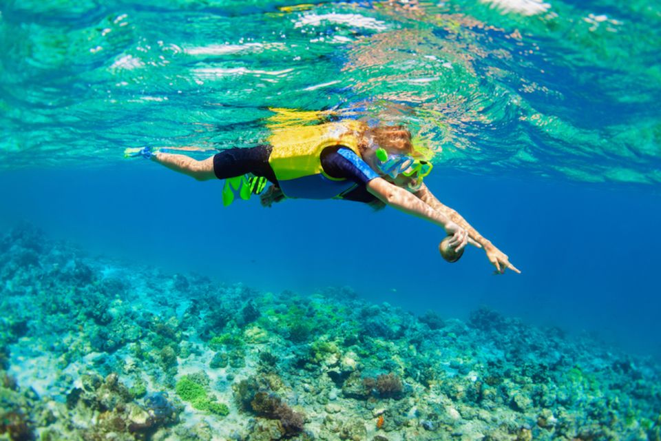 Nusa Lembongan Island: Snorkeling & Mangrove Forest Day Tour - Key Points