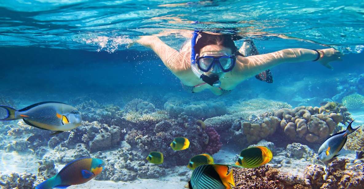 Nusa Lembongan Island: Snorkeling & Mangrove Forest Day Tour - Snorkeling in the Ocean
