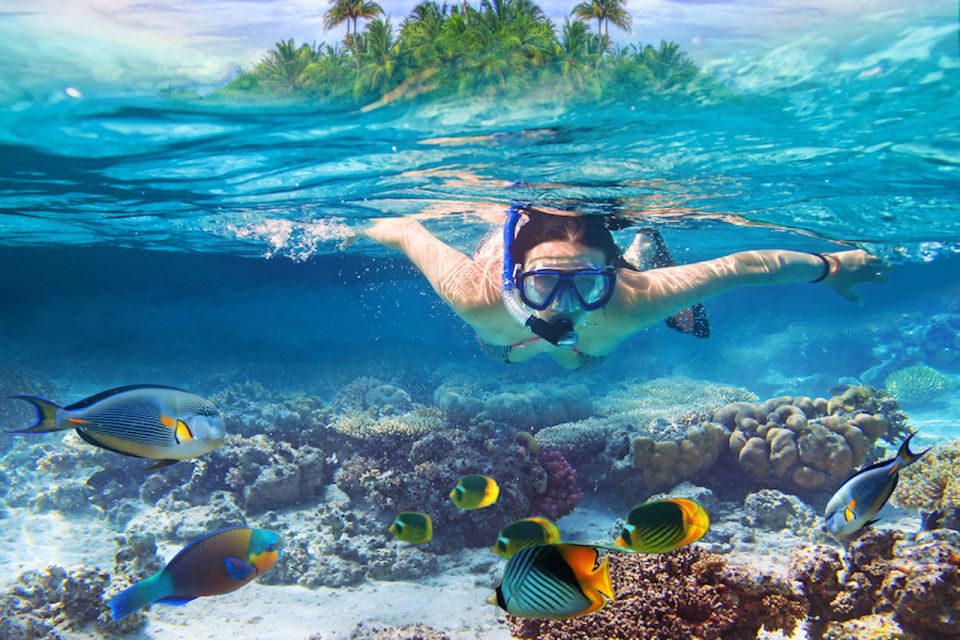 Nusa Lembongan Island: Snorkeling & Mangrove Forest Day Tour - Mangrove Forest Tour