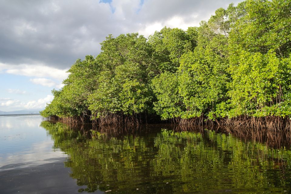 Nusa Lembongan Island: Snorkeling & Mangrove Forest Day Tour - Option for Stand-up Paddleboard