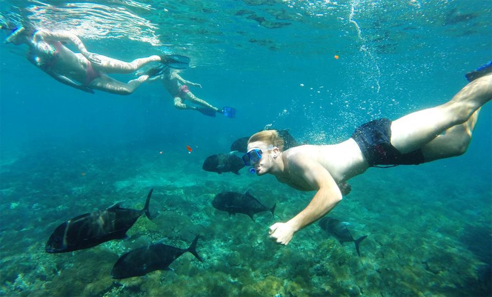 Nusa Penida: 4 Spot Snorkeling and Land Tour - Key Points