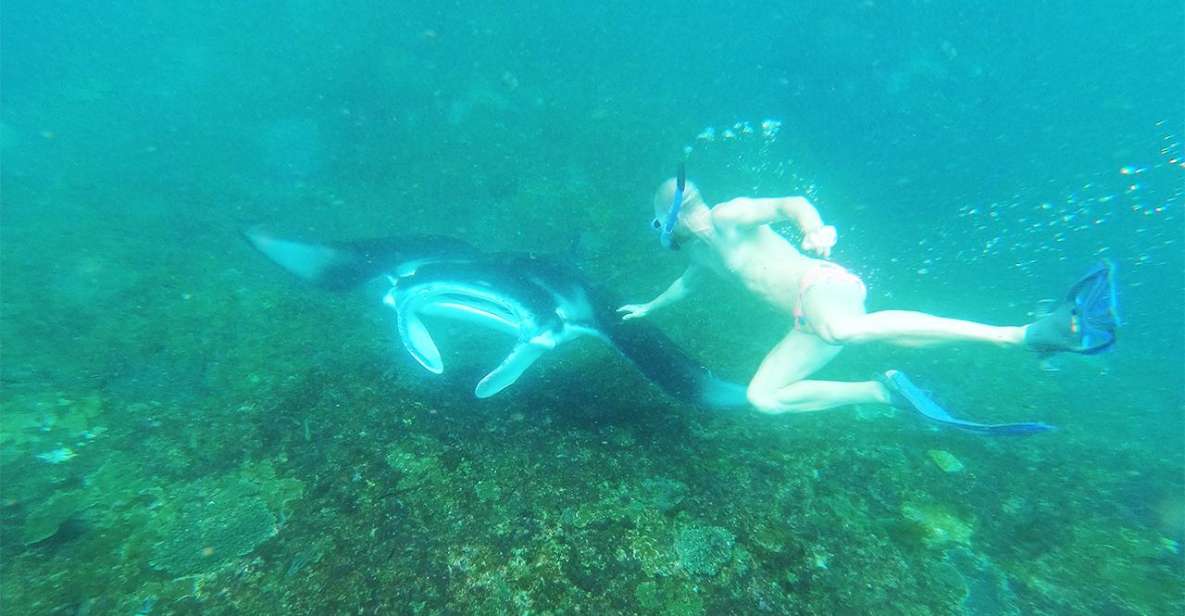 Nusa Penida: 4 Spot Snorkeling and Land Tour - Booking and Pricing