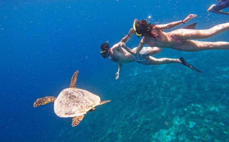 Nusa Penida Afternoon Private Manta Safari Snorkeling - What to Expect from the Experience