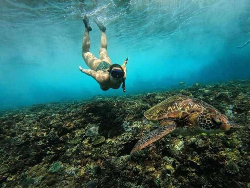 NUSA PENIDA ALL-INCLUSIVE WEST TRIP WITH SNORKLING 3 SPOT - What Travelers Can Expect and Why It Matters  