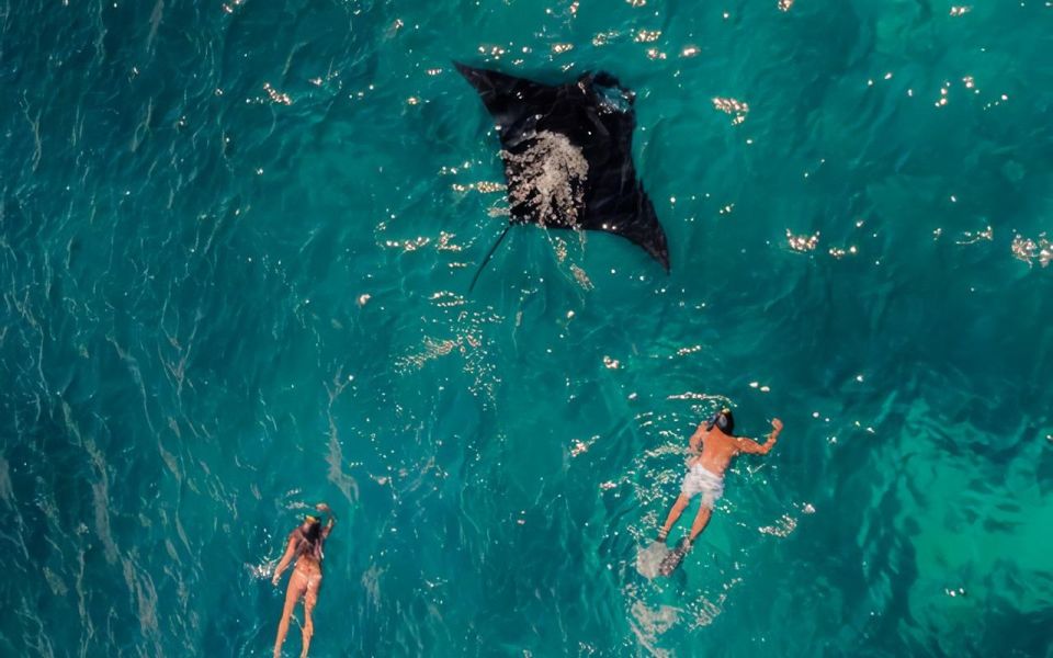 Nusa Penida: Full Day 4 Spot Snorkeling and West Land Tour - Pricing and Reservations