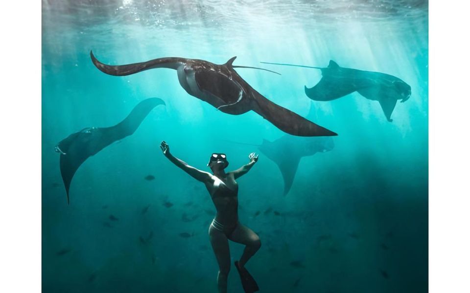 Nusa Penida: Full Day 4 Spot Snorkeling and West Land Tour - Frequently Asked Questions
