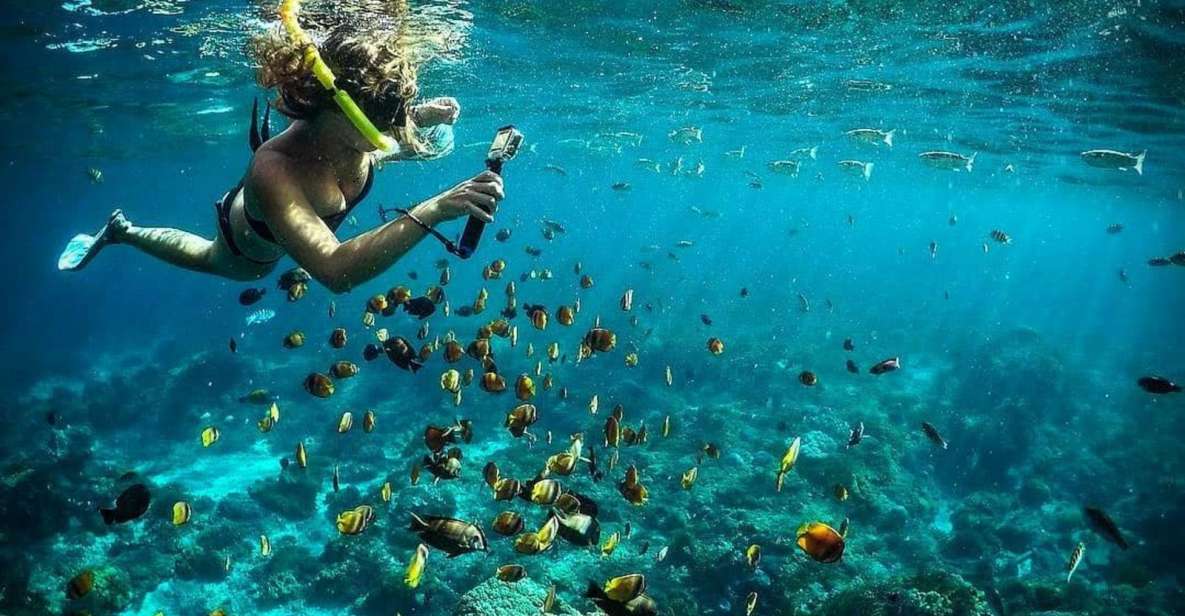 Nusa Penida: Full-Day Guided Snorkeling & Island Tour - Key Points