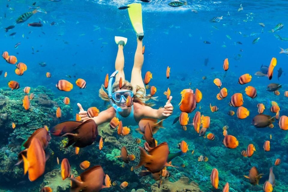 Nusa Penida: Full-Day Guided Snorkeling & Island Tour - Pricing Information