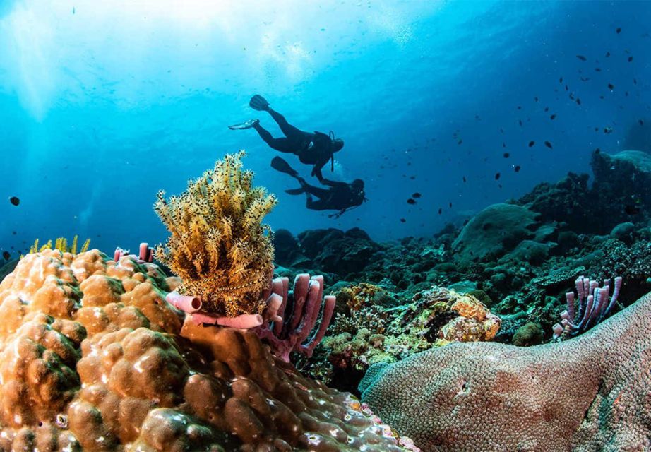 Nusa Penida: Full-Day Guided Snorkeling & Island Tour - Included in the Tour