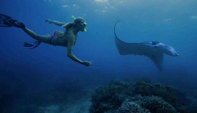 Nusa Penida: Full Day Private Snorkeling With Manta Ray - Key Points