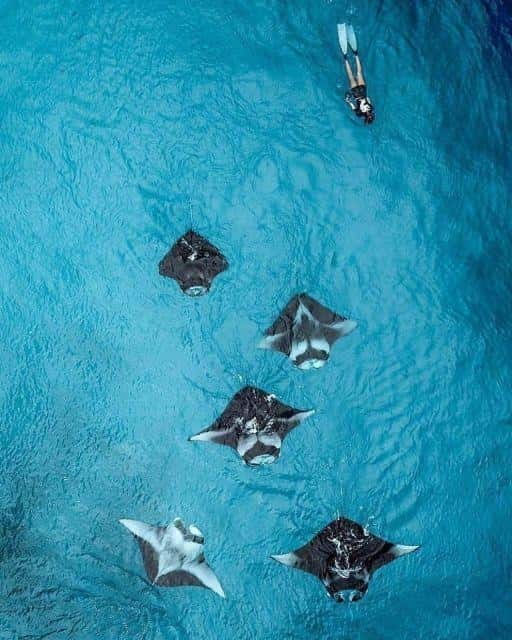 Nusa Penida: Full Day Private Snorkeling With Manta Ray - Logistics and Practicalities
