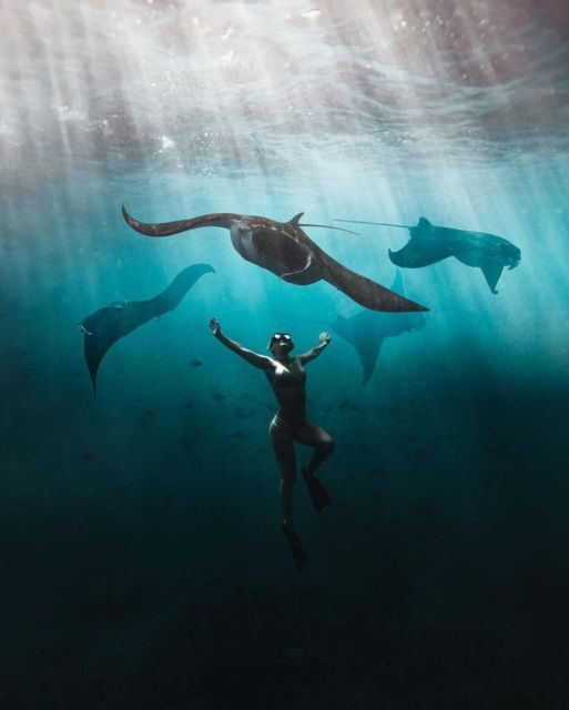 Nusa Penida Land Tour & Snorkeling With Manta Ray - Key Points