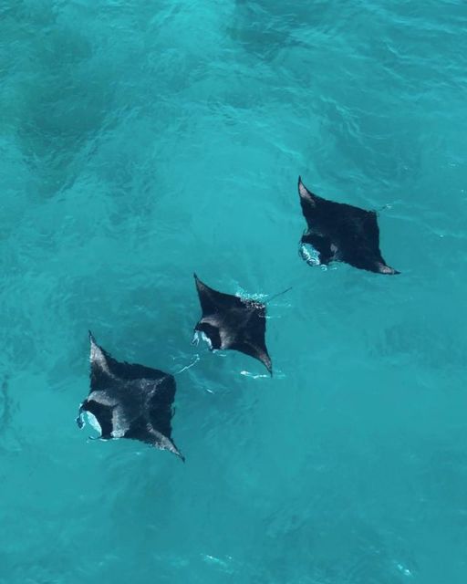 Nusa Penida Land Tour & Snorkeling With Manta Ray - Snorkeling Locations and Activities