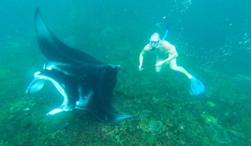 Nusa Penida: Manta Point Snorkeling Tour - Inclusions and Amenities