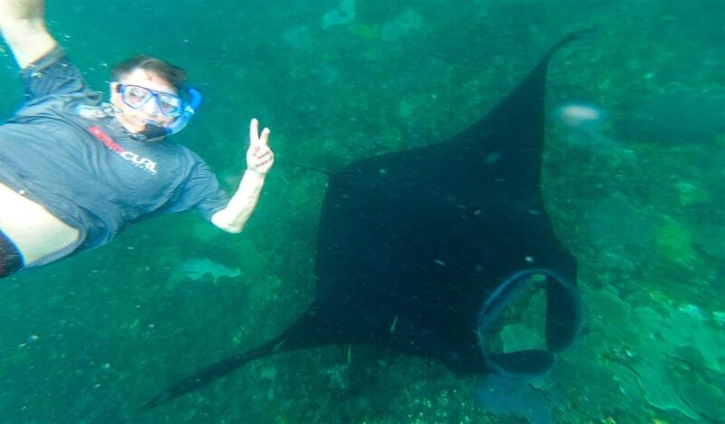 Nusa Penida: Manta Point Snorkeling Tour - Important Information