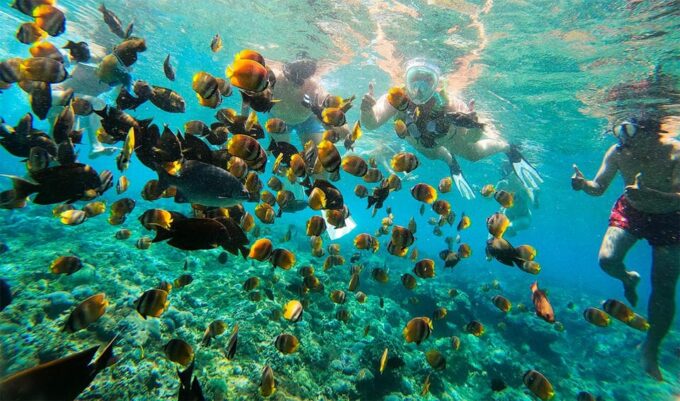 Nusa Penida: Manta Point Snorkeling Tour - Return Journey