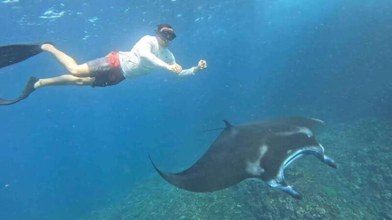 Nusa Penida: Private Snorkeling with Manta Ray and West Tour - An In-Depth Look at the Experience