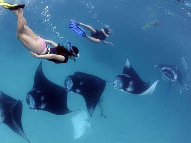 Nusa Penida: Snorkeling 3-4 spots and island tour with guide - Key Points