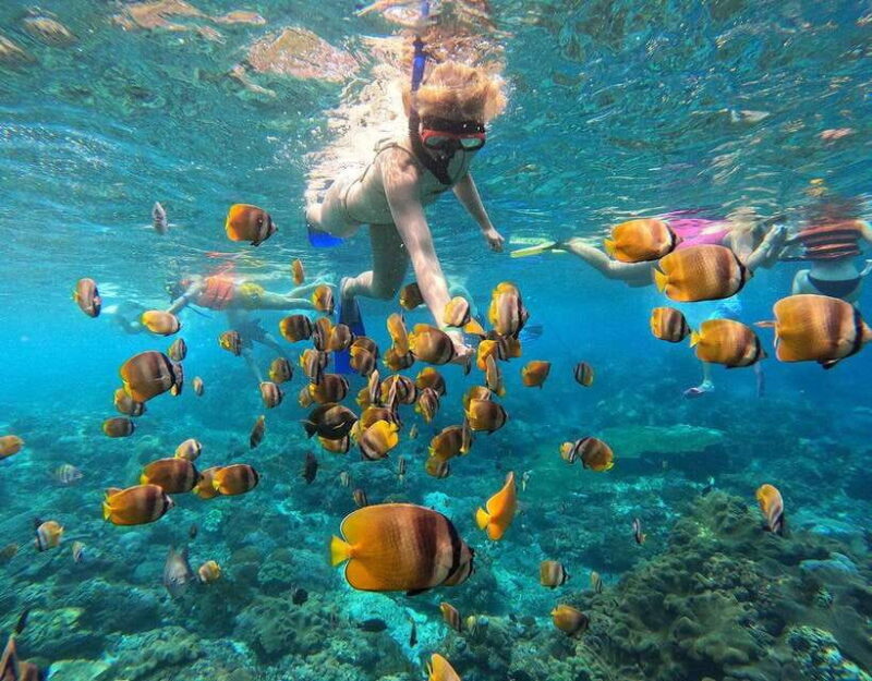 Nusa Penida: Snorkeling 3-4 spots and island tour with guide - FAQ