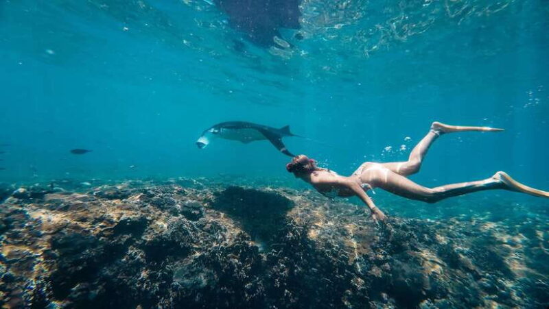 Nusa Penida: Snorkeling 3 Spots with GoPro & West Land Tour - Who Is This Tour Best For?