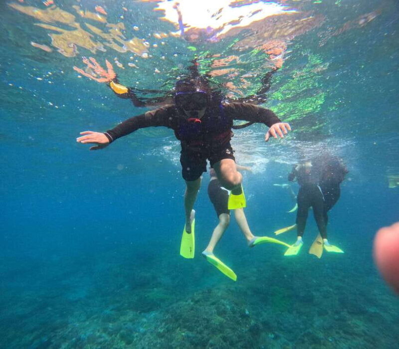 Nusa Penida: Snorkeling and Island Tour with Lunch - Detailed Breakdown of the Experience