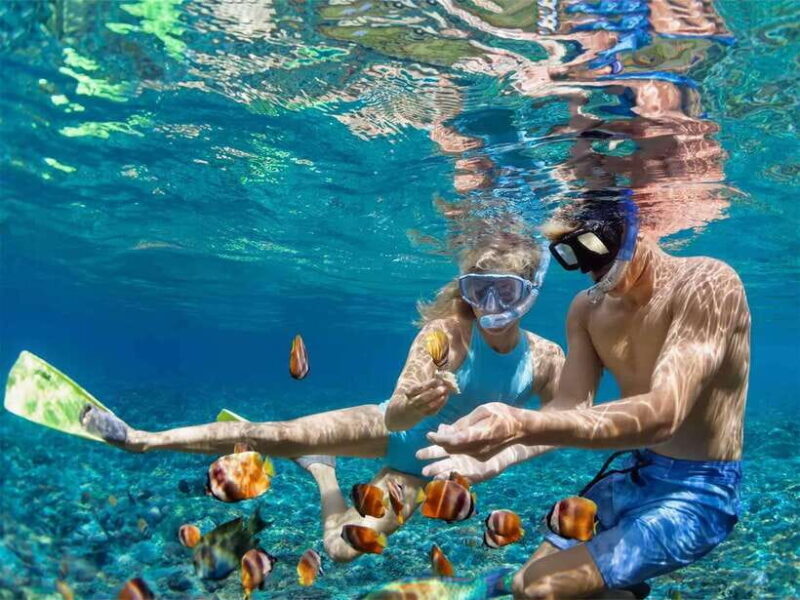 Nusa Penida: Snorkeling at Manta Point and West Coast Tour - Key Points