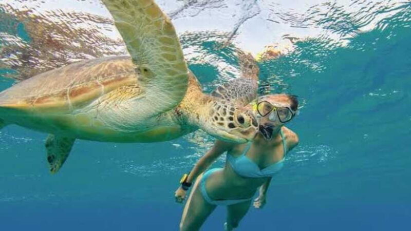 Nusa Penida: Snorkeling at Manta Point and West Coast Tour - FAQs