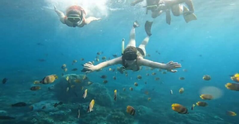 Nusa Penida Snorkeling Manta Bay With 4 Spots, Guide, Gopro - Good To Know