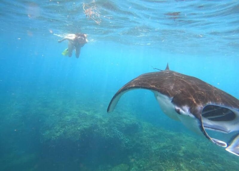 Nusa Penida Snorkeling Manta Bay With 4 Spots, Guide, Gopro - Snorkeling Spots and Experience