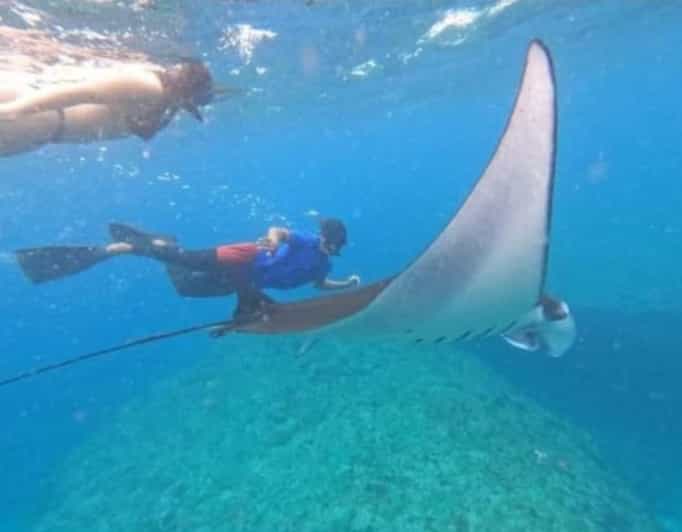 Nusa Penida Snorkeling Manta Bay With 4 Spots, Guide, Gopro - Inclusions and Amenities