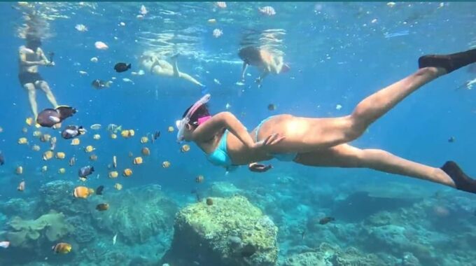 Nusa Penida Snorkeling Manta Bay With 4 Spots, Guide, Gopro - Manta Bay Snorkeling