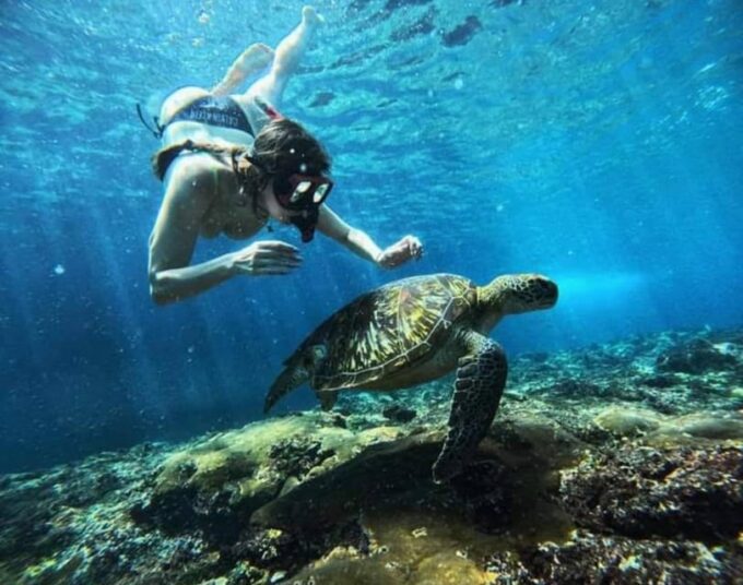 Nusa Penida Snorkeling Manta Bay With 4 Spots, Guide, Gopro - Crystal Bay and SD Point