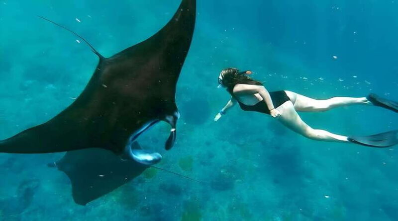 Nusa Penida: Snorkeling Tour with Transfers from Sanur - What To Expect from the Tour