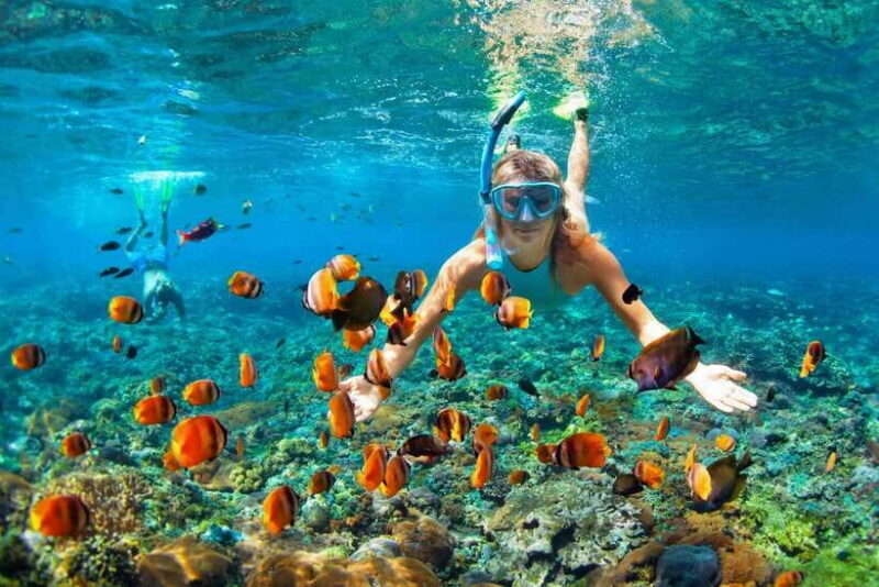 Nusa Penida: Snorkeling Tour with Transfers from Sanur - What the Experience Means for You