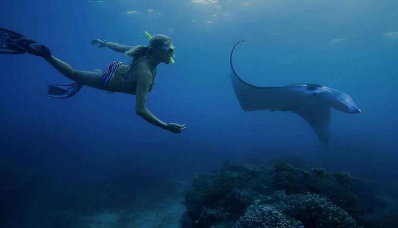 Nusa Penida: Snorkeling Trip with Manta Rays From Bali - What Makes This Tour Stand Out