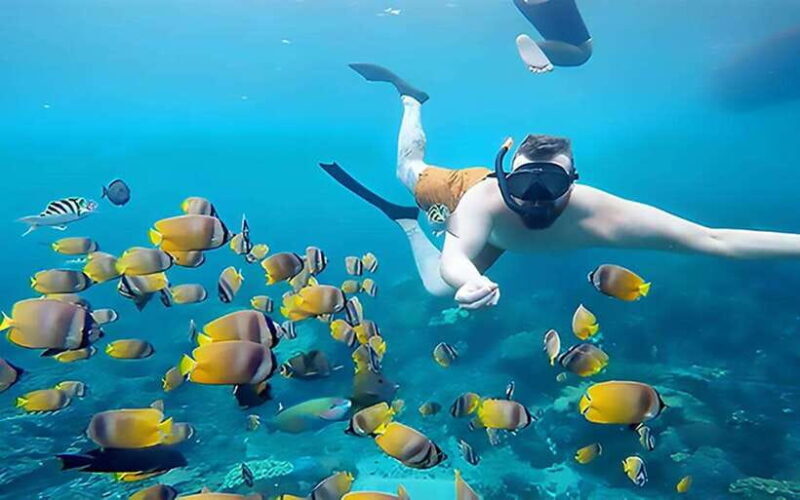Nusa Penida: Snorkeling Trip with Manta Rays From Bali - Analyzing the Value