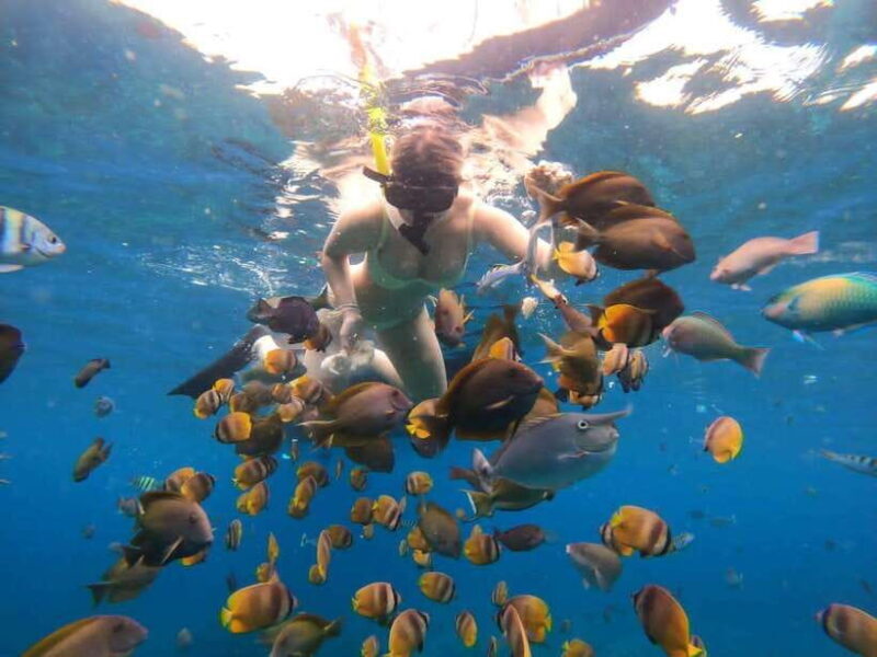 Nusa Penida: Snorkeling Trip with Manta Rays From Bali - Who Should Consider This Tour?