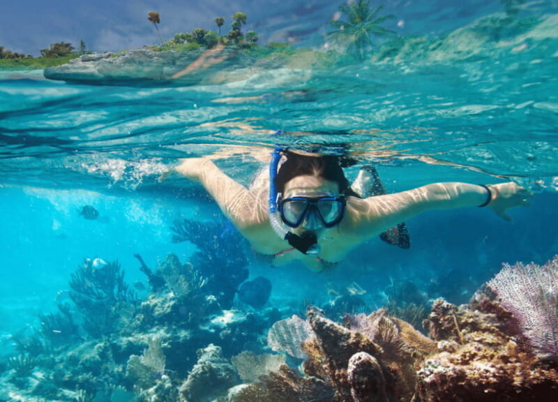 Nusa Penida: Spend time snorkeling with rays and turtles - Key Points