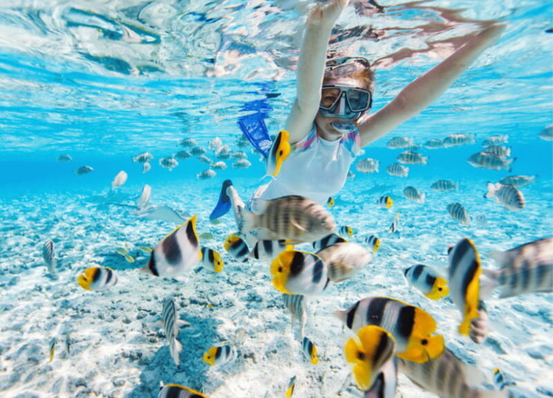 Nusa Penida: Spend time snorkeling with rays and turtles - What’s Included and What’s Not