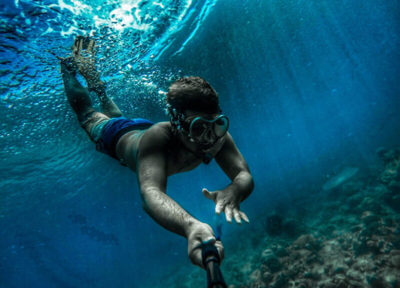 Nusa Penida: Spend time snorkeling with rays and turtles - Understanding the Value and Limitations